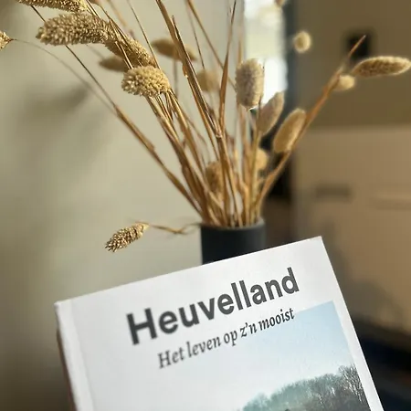 Boutique Le Faucon 3* Valkenburg aan de Geul