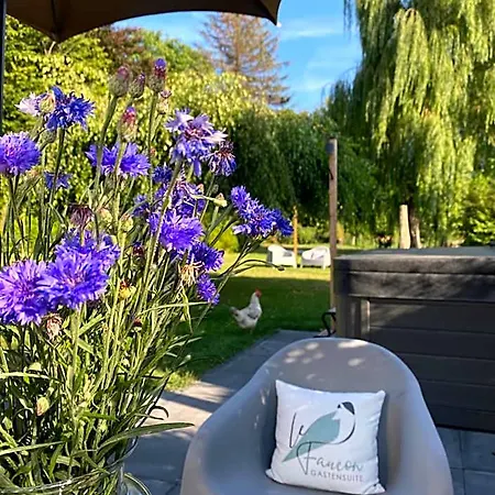 Boutique Le Faucon Готель типу 