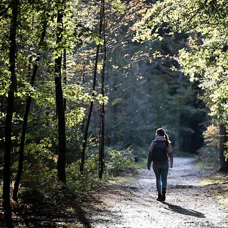 Boutique Le Faucon Bed & Breakfast