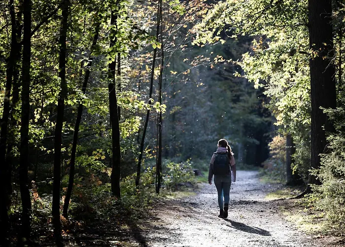 Boutique Le Faucon Bed & Breakfast